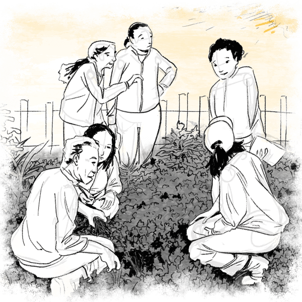 El país de las masacres