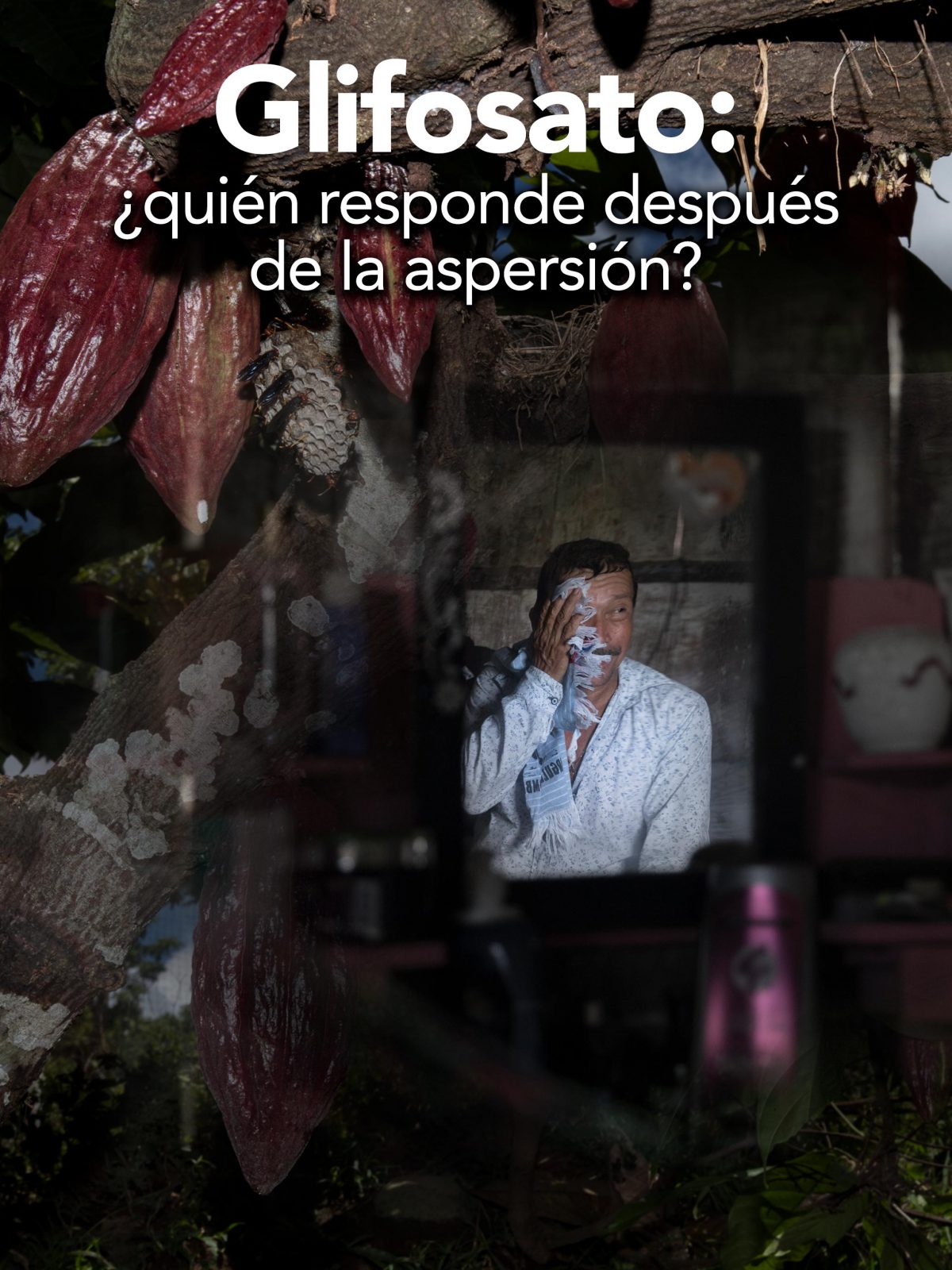 Glifosato quién responde