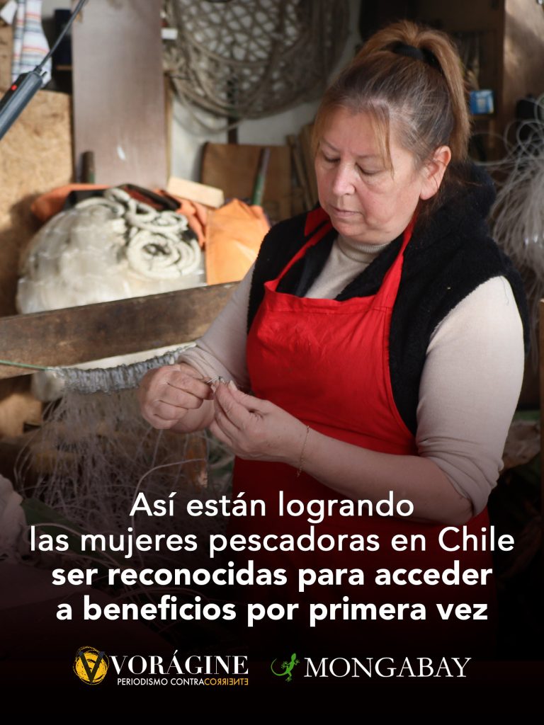 Así están logrando las mujeres pescadoras en Chile ser reconocidas para acceder a beneficios por primera vez