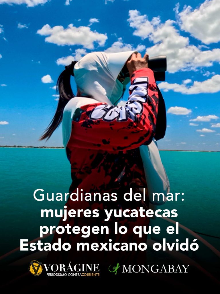 Guardianas del mar: mujeres yucatecas protegen lo que el Estado mexicano olvidó