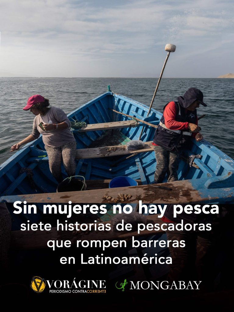 Sin mujeres no hay pesca: siete historias de pescadoras que rompen barreras en Latinoamérica