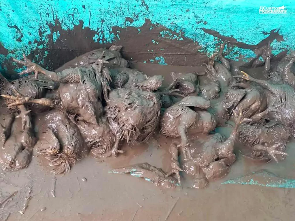 Vereda Río Negro, Villavicencio. Foto: cortesía de la comunidad.