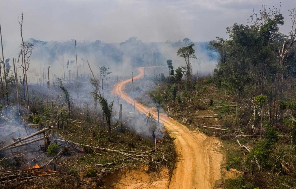 La deforestación ha dejado claros cada vez más grandes en el Caquetá. De los 137 parches de más de 30 hectáreas detectados en la Amazonía colombiana a finales de 2025, 62 estaban en este departamento.