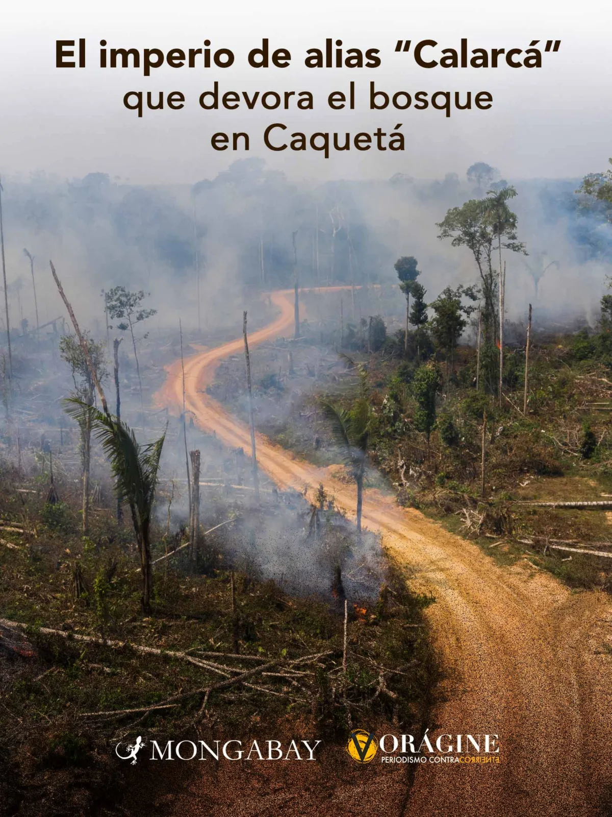 Mongabay Latam y Vorágine revelan cómo las disidencias de este jefe guerrillero arrasan con la selva de este departamento colombiano mediante un modelo de extorsión, ganadería extensiva, acaparamiento y sometimiento a los civiles.