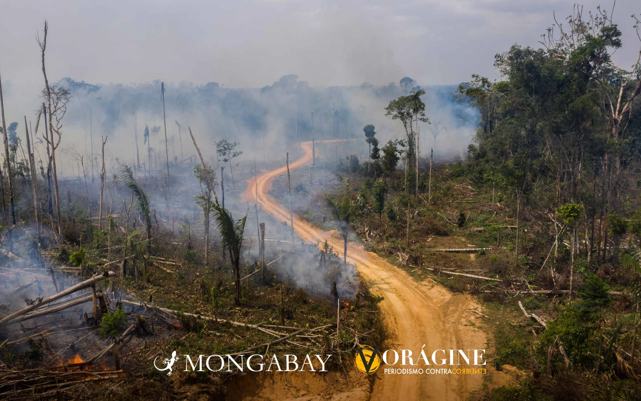 Mongabay Latam y Vorágine revelan cómo las disidencias de este jefe guerrillero arrasan con la selva de este departamento colombiano mediante un modelo de extorsión, ganadería extensiva, acaparamiento y sometimiento a los civiles.